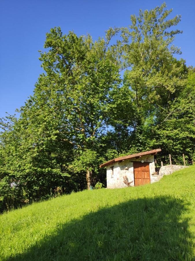 Apartamentos Rurales La Caviana Onís 外观 照片