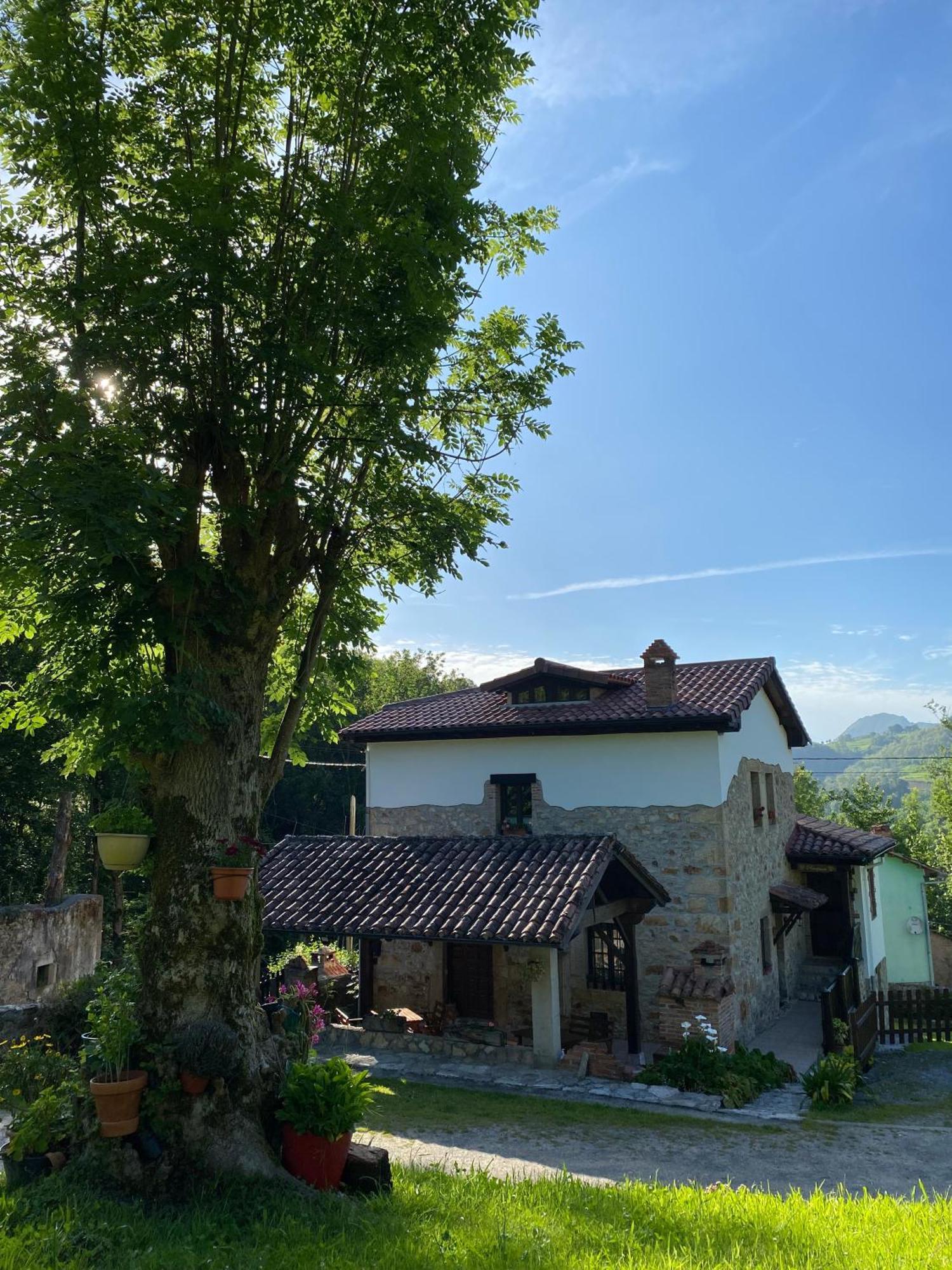 Apartamentos Rurales La Caviana Onís 外观 照片